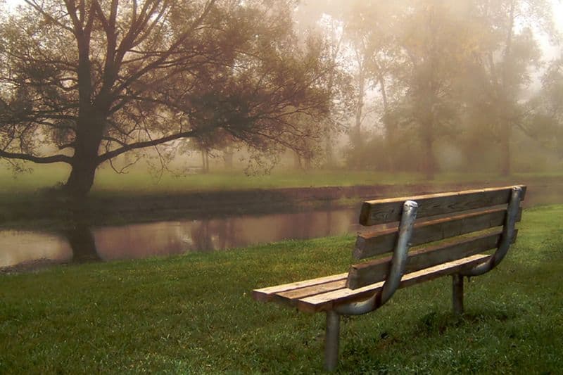 misty benchy river misty bench by river